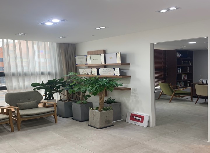 만개한 분홍색 벚꽃